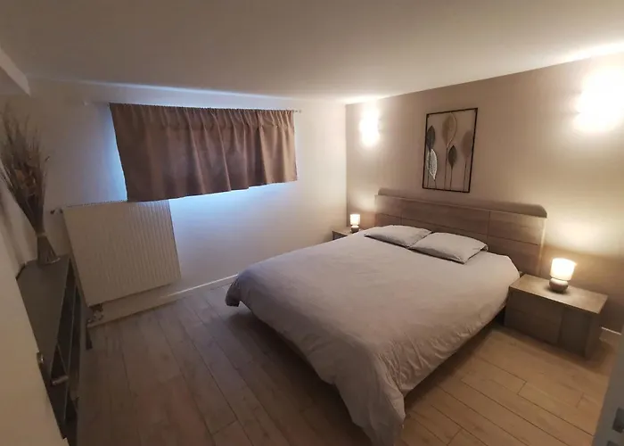 Appartement Cosy 2-4 Personnes Avec Terrasse